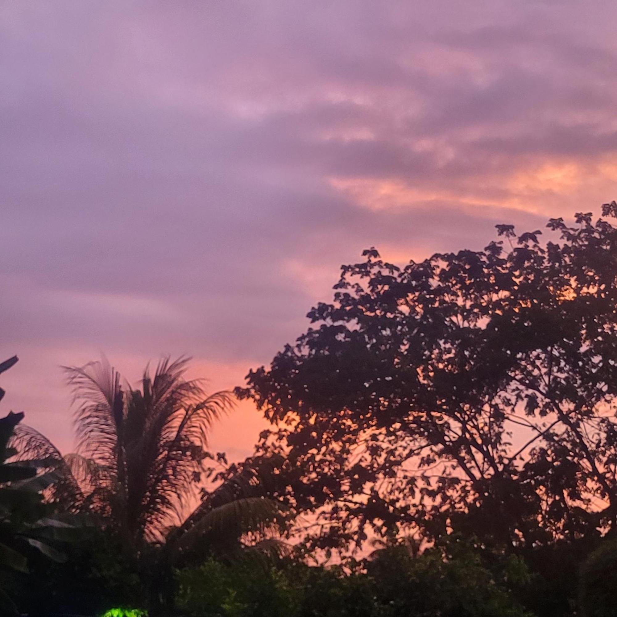 Madre Terra Bed & Breakfast อูวีตา ภายนอก รูปภาพ