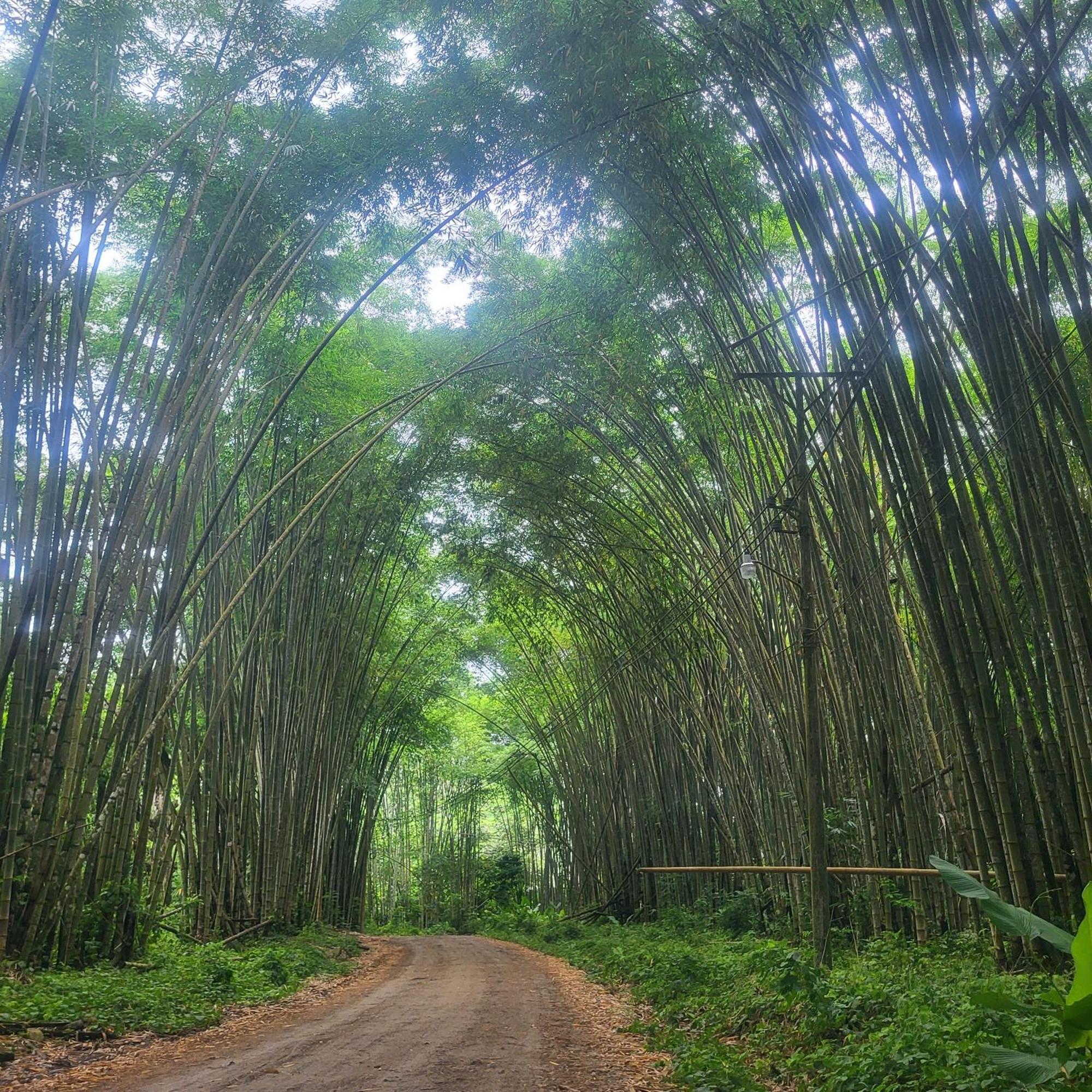 Madre Terra Bed & Breakfast อูวีตา ภายนอก รูปภาพ