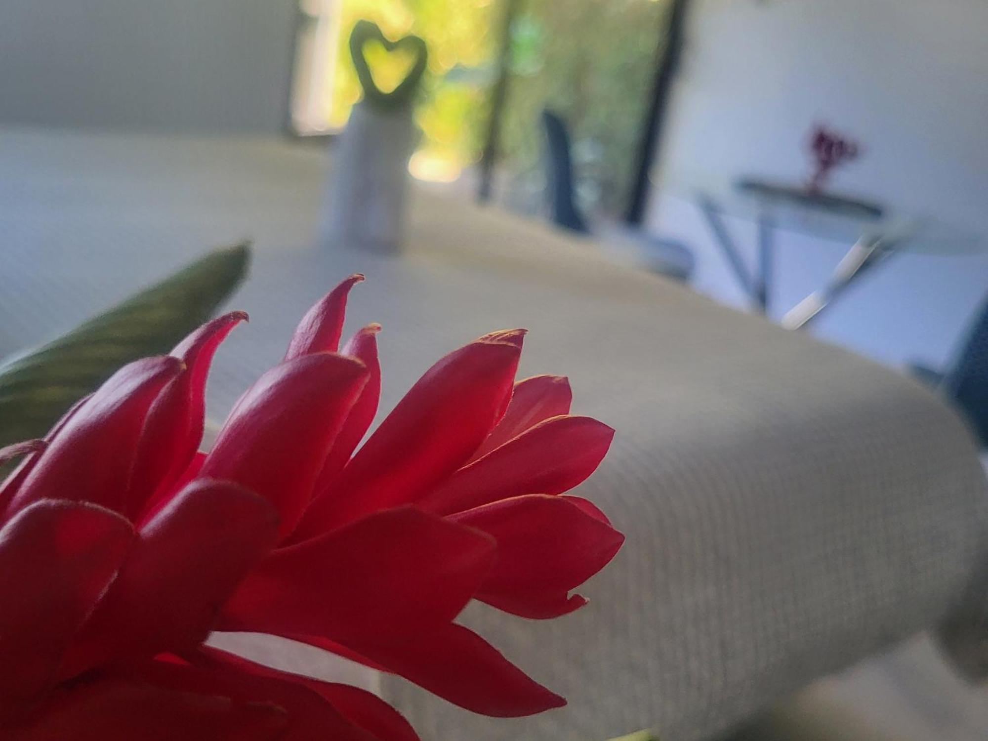 Madre Terra Bed & Breakfast อูวีตา ภายนอก รูปภาพ